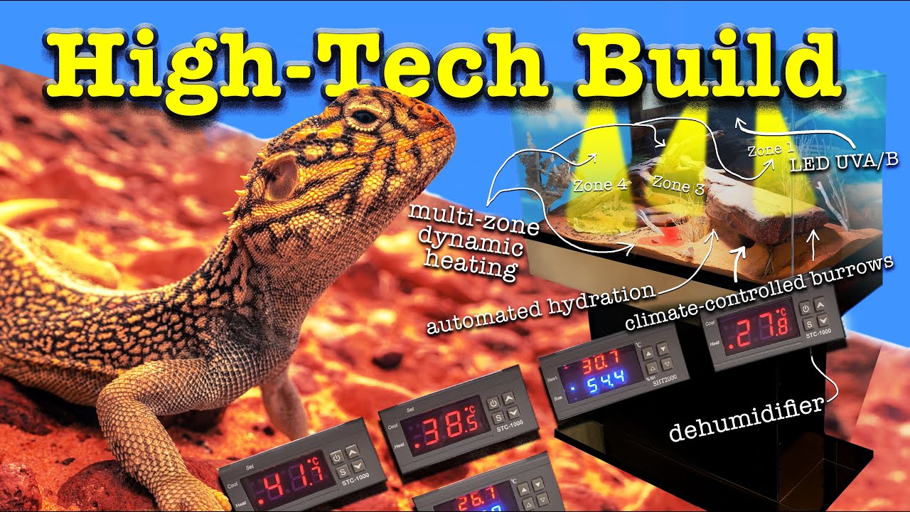 High-Tech Desert Lizard Enclosure | Central Netted Dragon Habitat Build