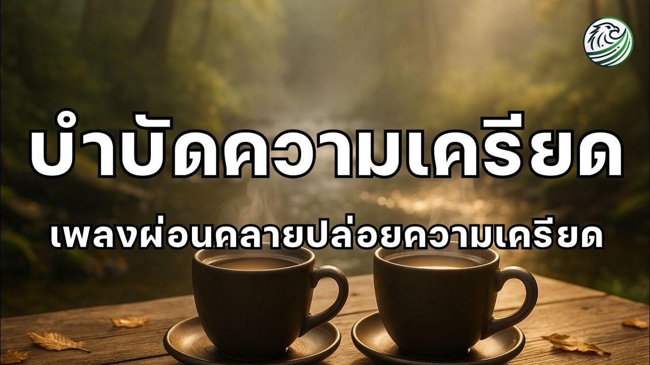 ดนตรีบำบัดความเครียด ปล่อยใจจากความคิดมากสะสม ดนตรีบำบัดจิตใจ เพลงผ่อนคลายสมอง relaxing music