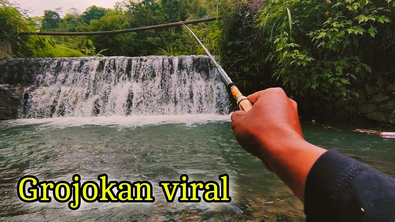 MANCING DI GROJOKAN VIRAL