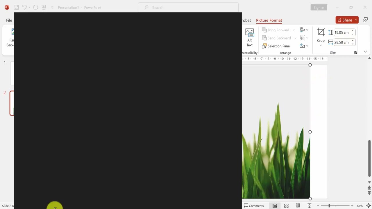How to change picture size cm to inches in PowerPoint 365