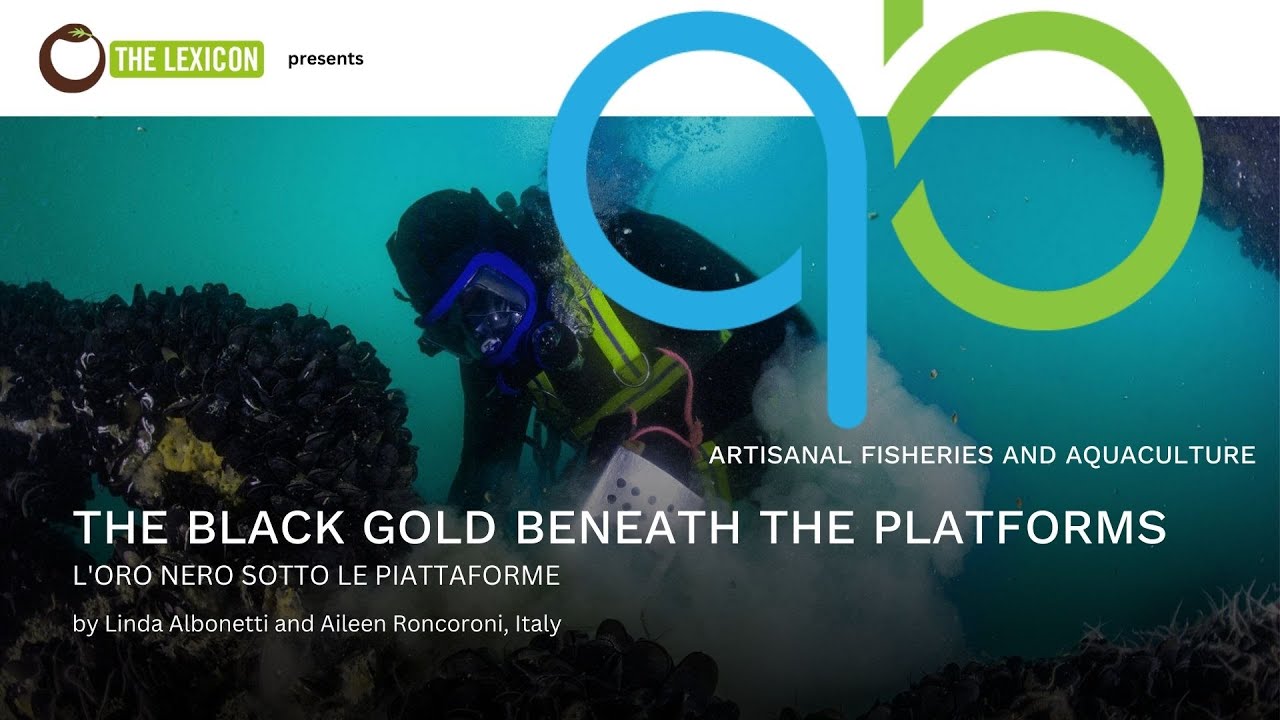 The Black Gold Beneath the Platforms by Linda Albonetti and Aileen Roncoroni