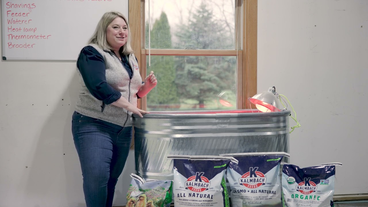 Raising Healthy Chicks -- 2024 Chick Webinar with Kalmbach Feeds' Dr. Nancy Jefferson