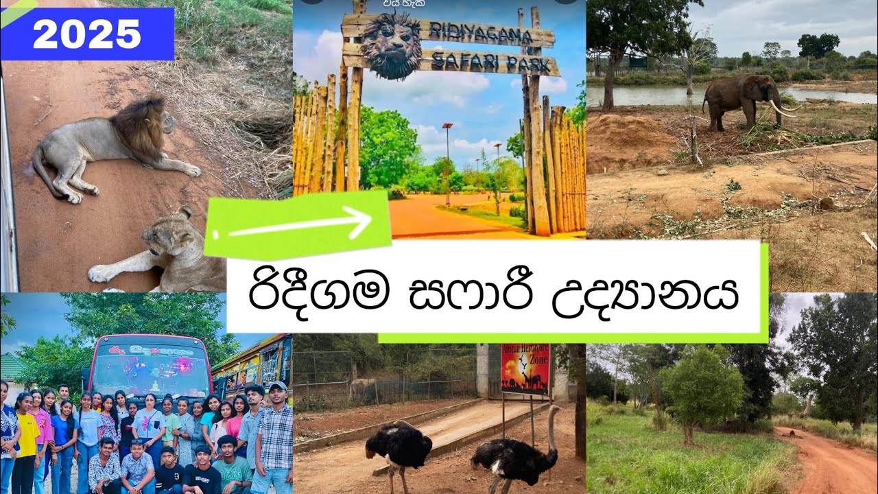 Ridiyagama Safari Park / රිදීගම සෆාරී උද්‍යානය හම්බන්තොට🍃🚔🐘