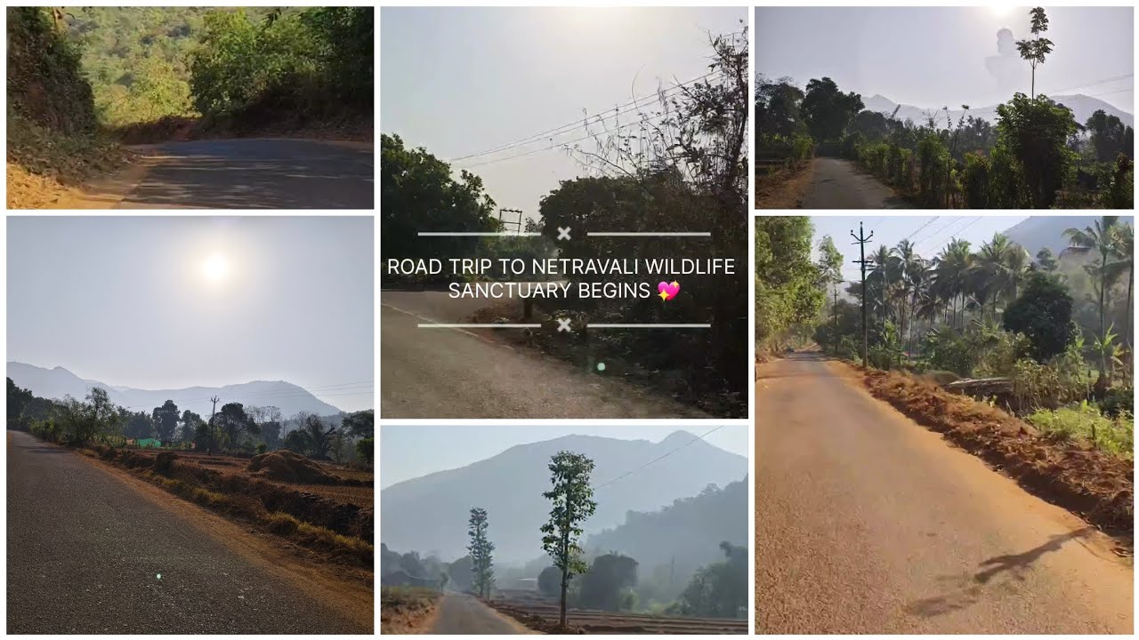 One Hour of Scenic Therapy to Netravali 🌿 | Wrapped in 3.5 Minutes 🌞  #netravaliwildlife #Goatravel 