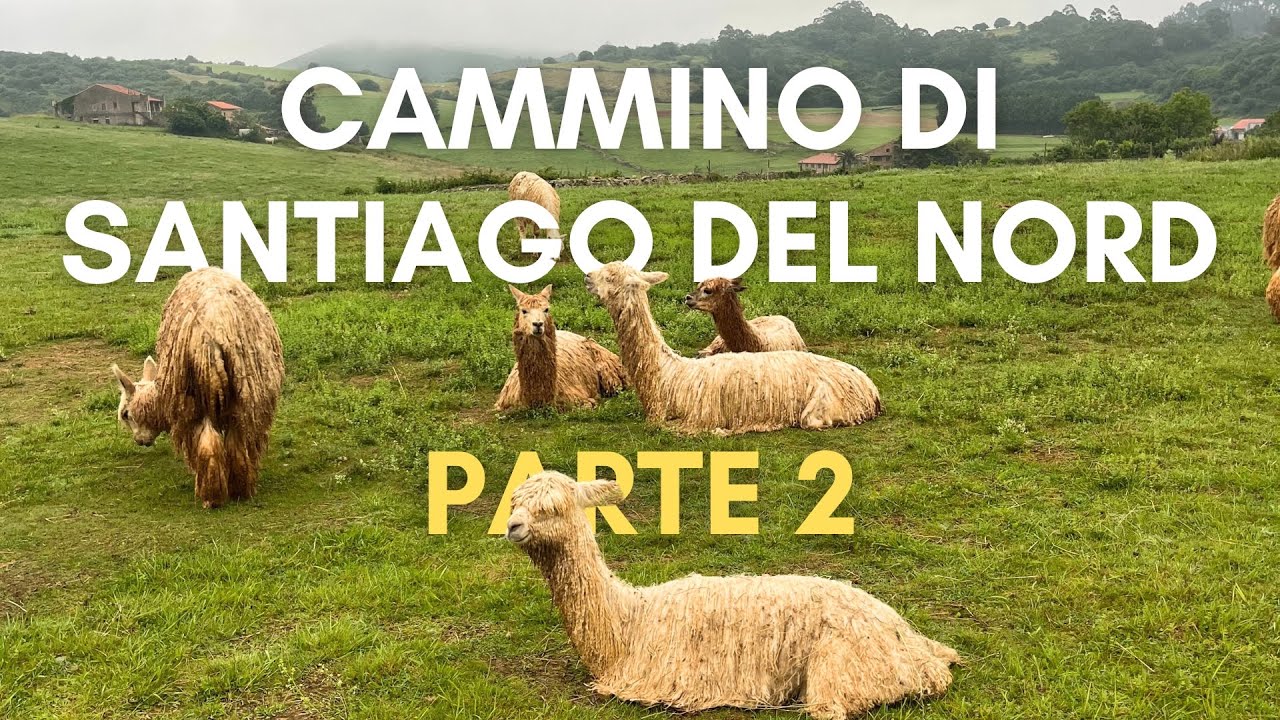 IL CAMMINO DEL NORD IN 32 GIORNI - Parte 2