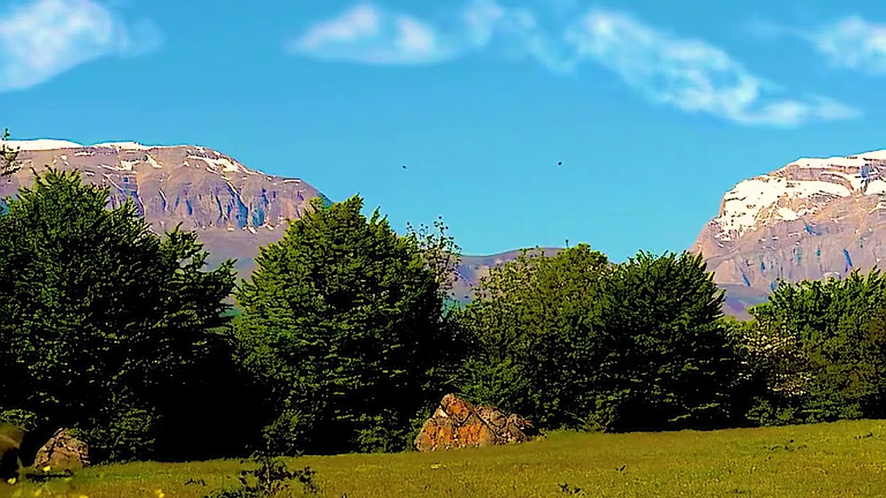 Инструментальная мелодия Сувун рук