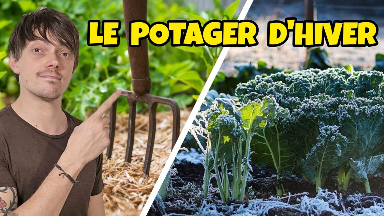 PRODUIRE des légumes même l'HIVER ! LE POTAGER D'HIVER