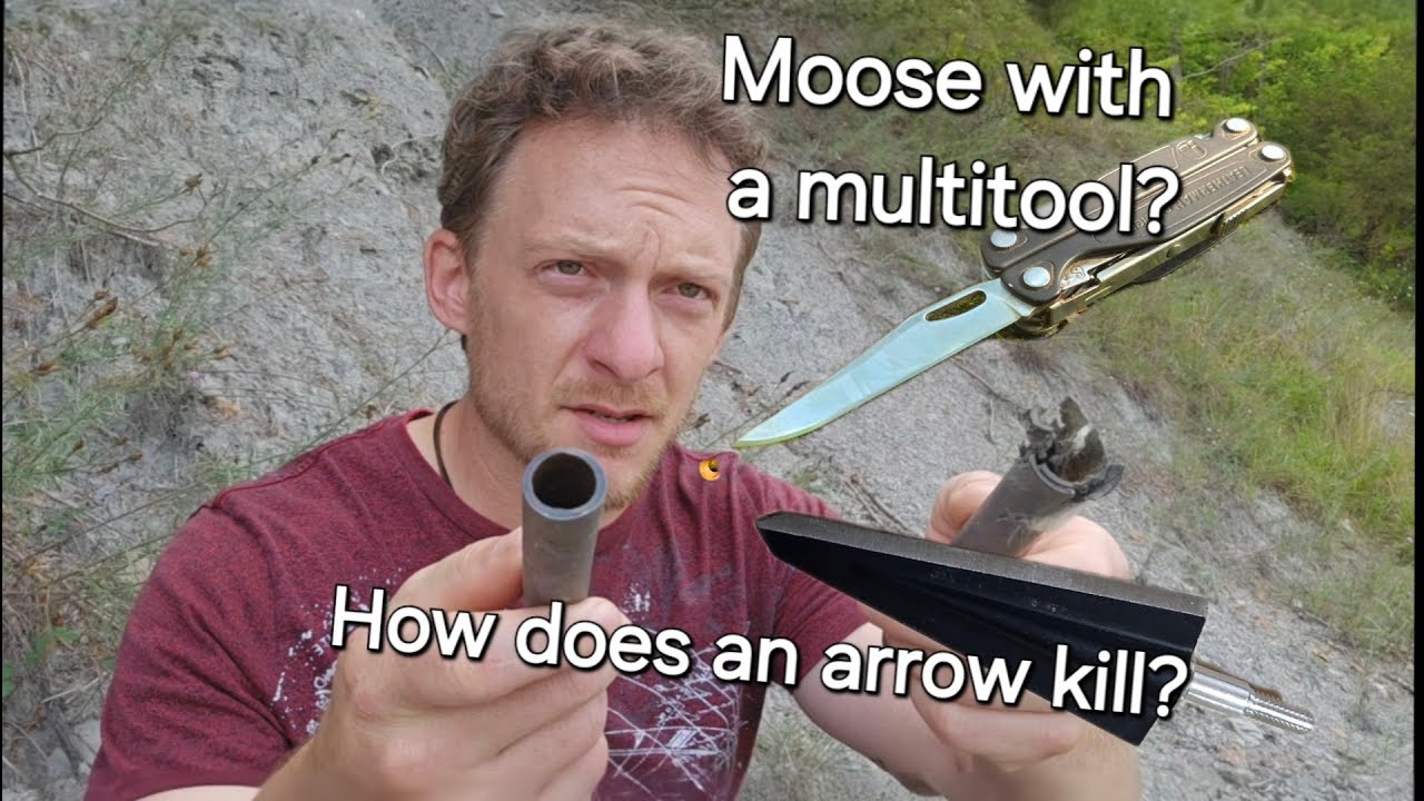 Alone, 11 сезон, 5 серия. Timber's Moose