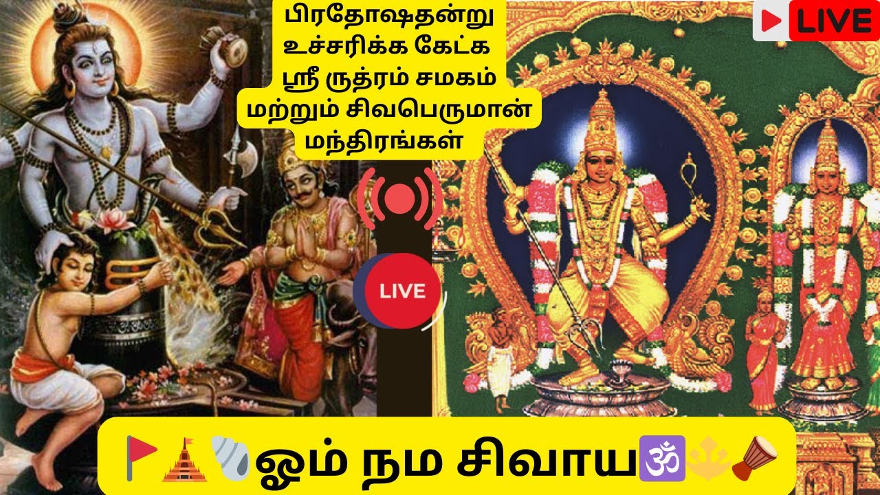 தினமும் உச்சரிக்க ஸ்ரீ ருத்ரம் சமகம் Sri Rudram Chamakam Daily Parayanam