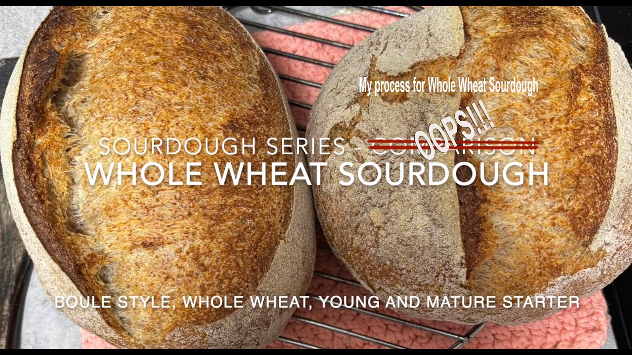 Whole Wheat Sourdough Bread   Full Process Starter, Autolyse, Fermentation