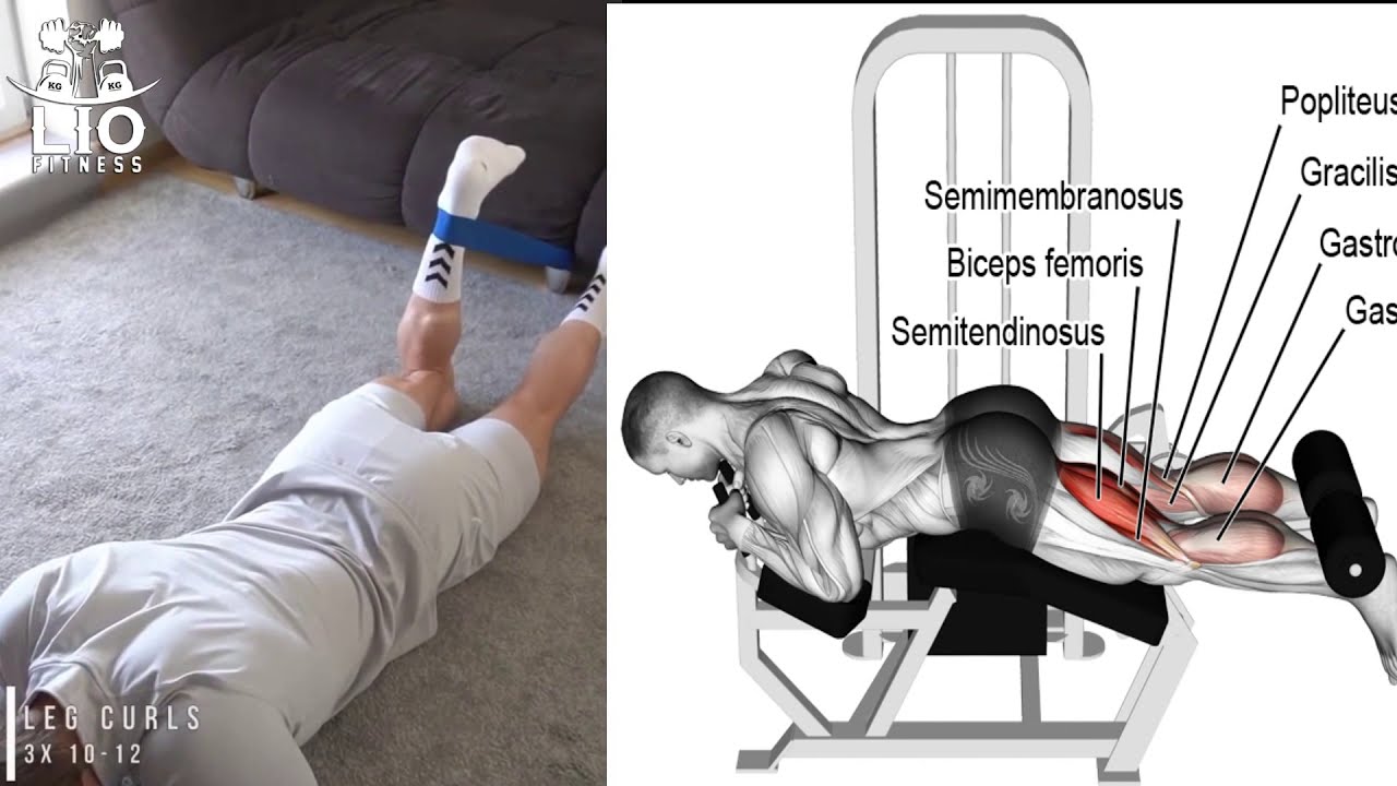 8 EJERCICIOS PARA AGRANDAR PIERNAS CON PESO CORPORAL