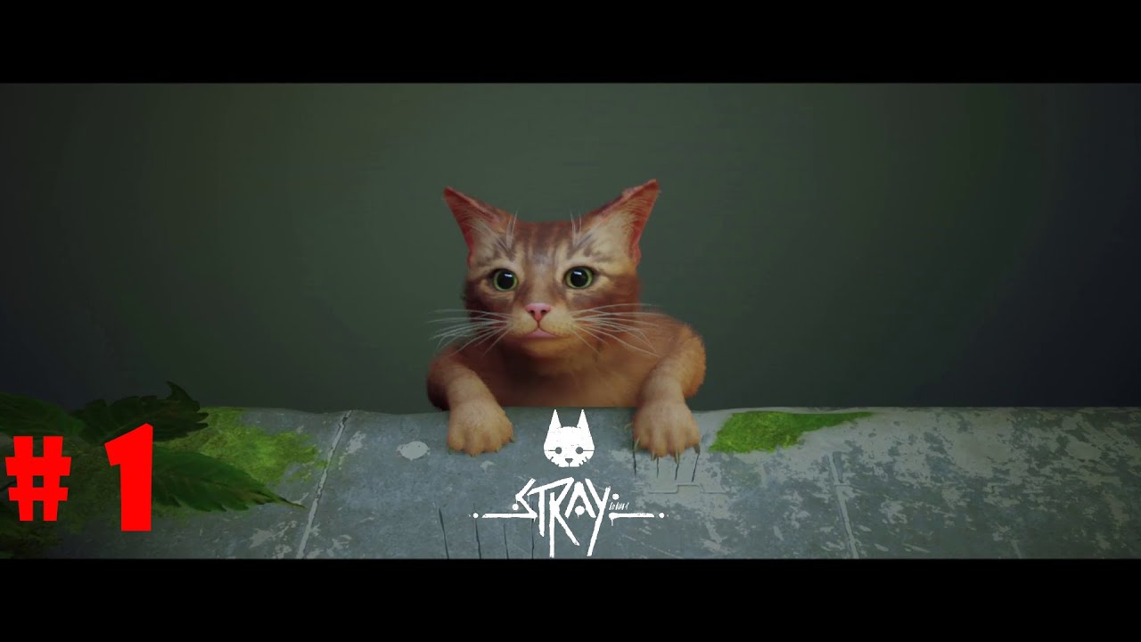 BAGAD BILLA GROUP SE ALAG HO GAYA II STRAY II GAMEPLAY #10 II MaYvY_PLAYS