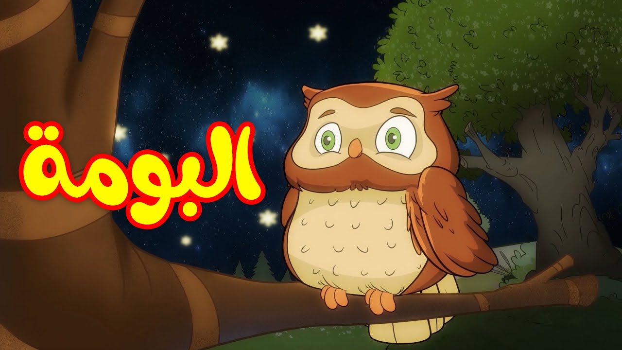البومة - طيور بيبي Toyor Baby