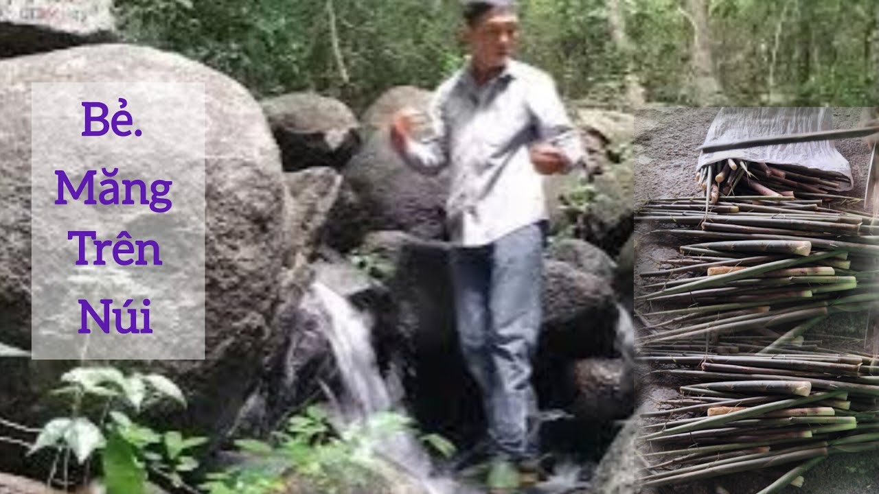 Bẻ Măng Núi . Về Đổi Gạo 