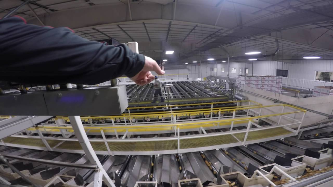 Potato Processing Plant Tour