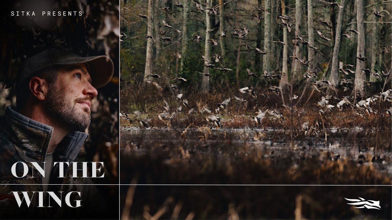 SITKA Presents: On The Wing