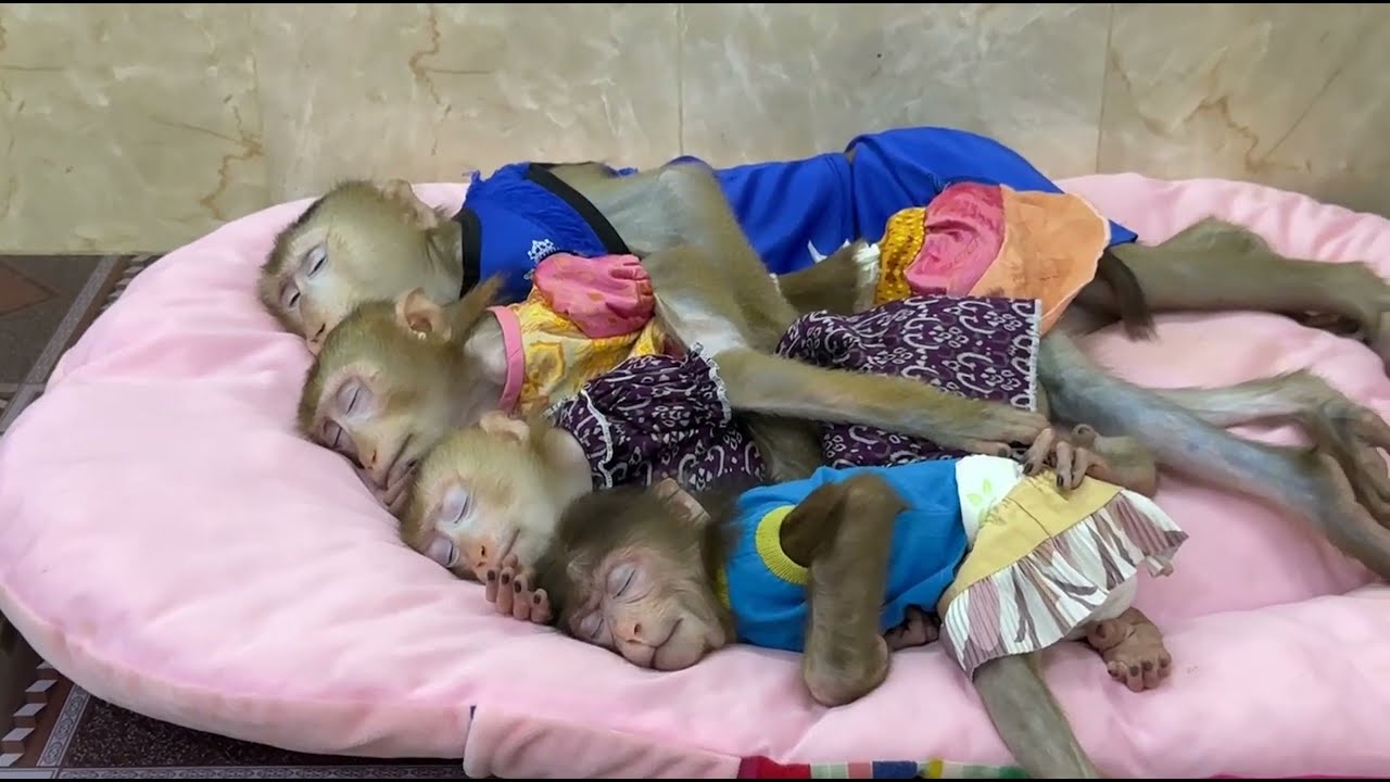 Best Time Together Gently Sleep So Comfy With Mom Hugging Each Other !!