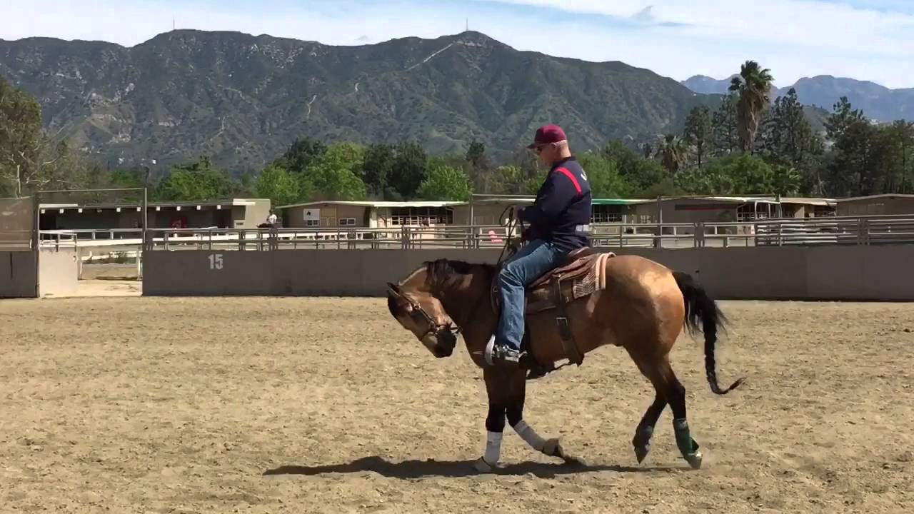 Tackle Life's (Lead) Changes