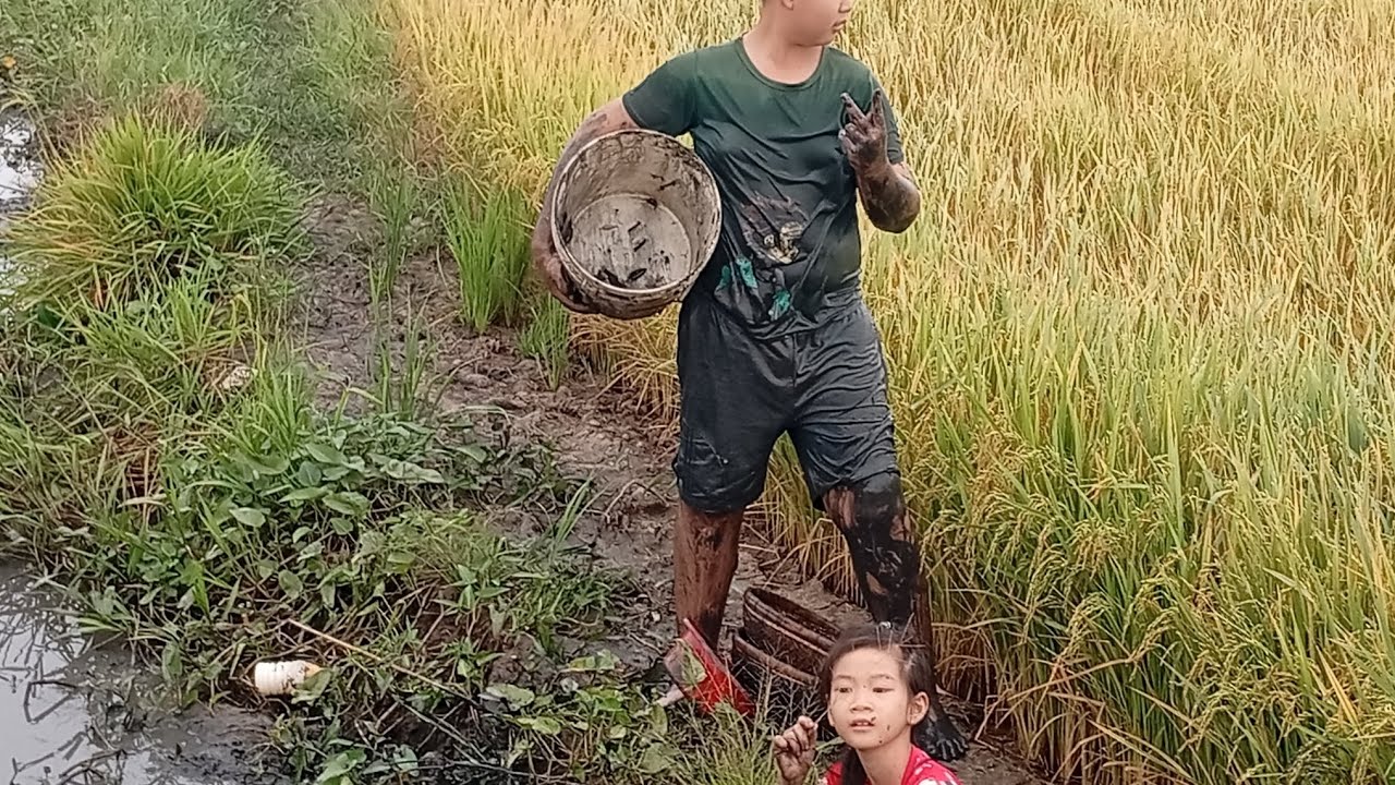 Ba mẹ con đi bắt cá 