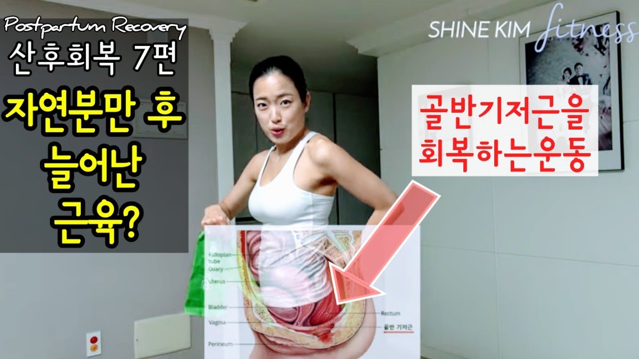 [산후운동] 산후회복7편 골반기저근&코어운동