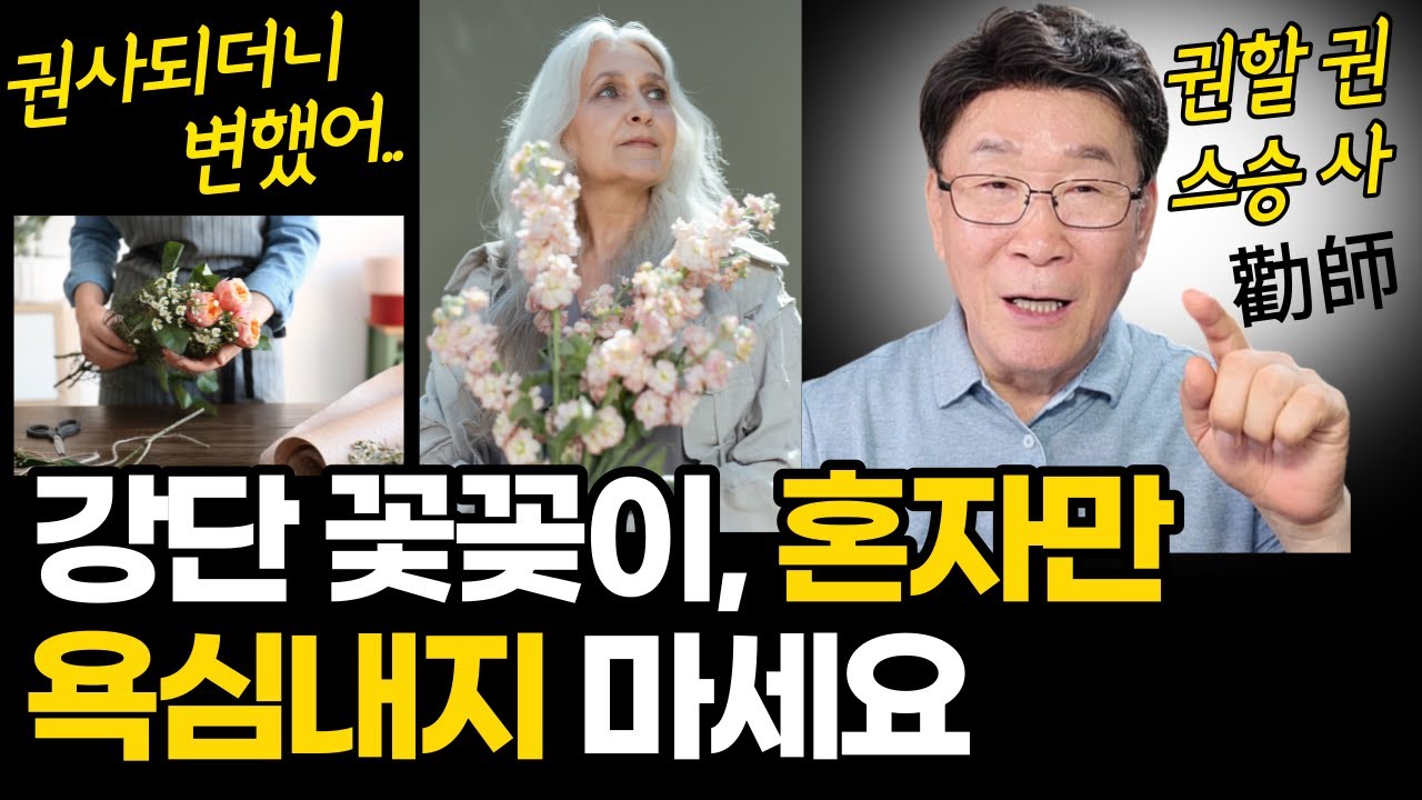 권사님들, 제발 