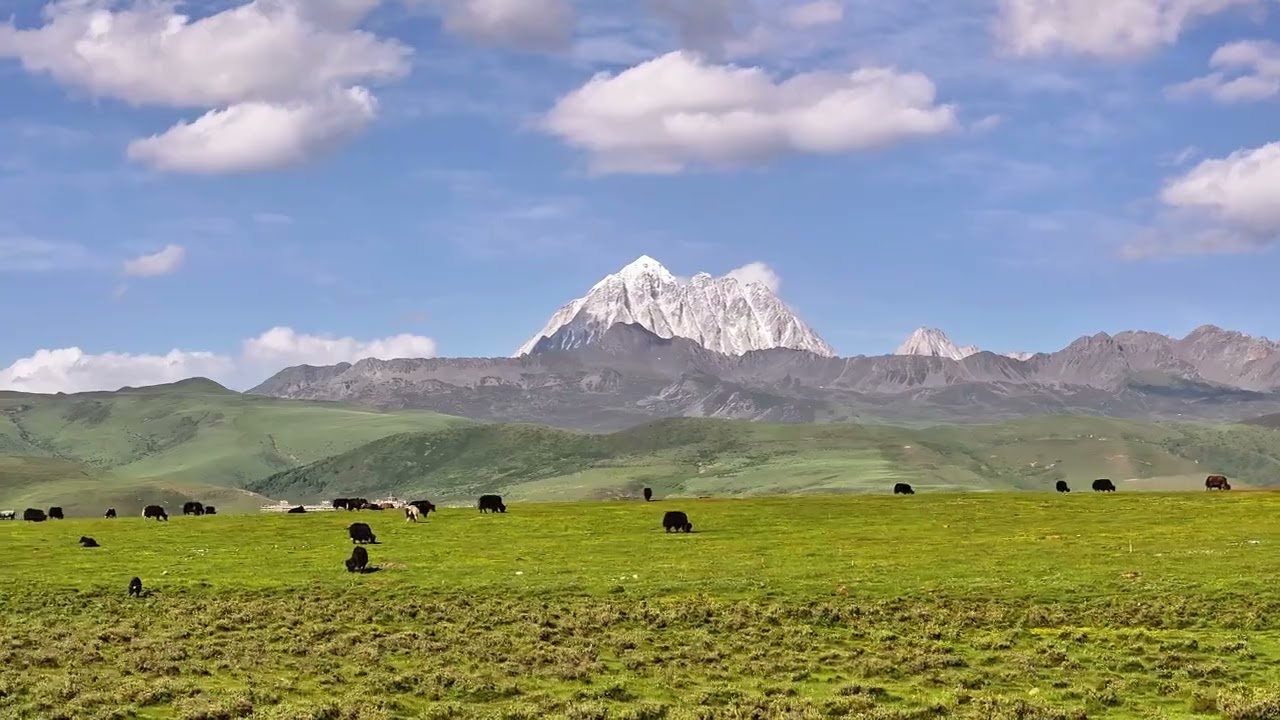 Travel video of Tagong Grassland in Garze, Sichuan, China - Shared