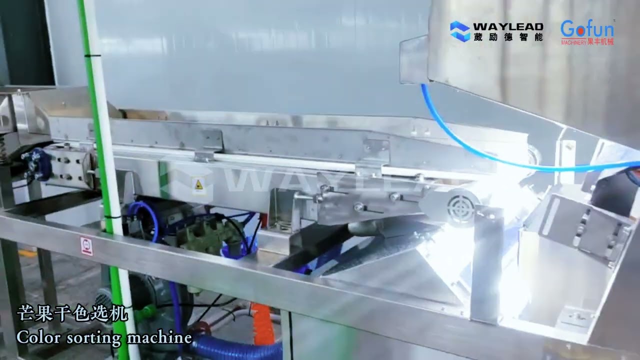 Watch: A demonstration of the color sorting machine at a top-tier mango processing plant.