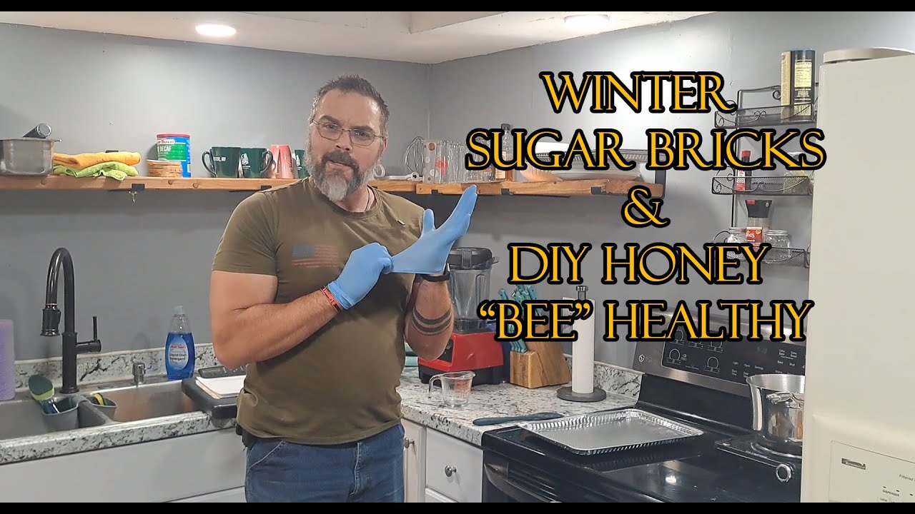 Winter Sugar Bricks and DIY Honey Bee Healthy Recipe for Beekeeping