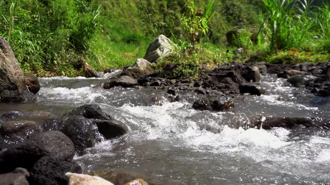1 Hour of Flowing River Sounds for Deep Concentration, Relaxation, Sleep, Study
