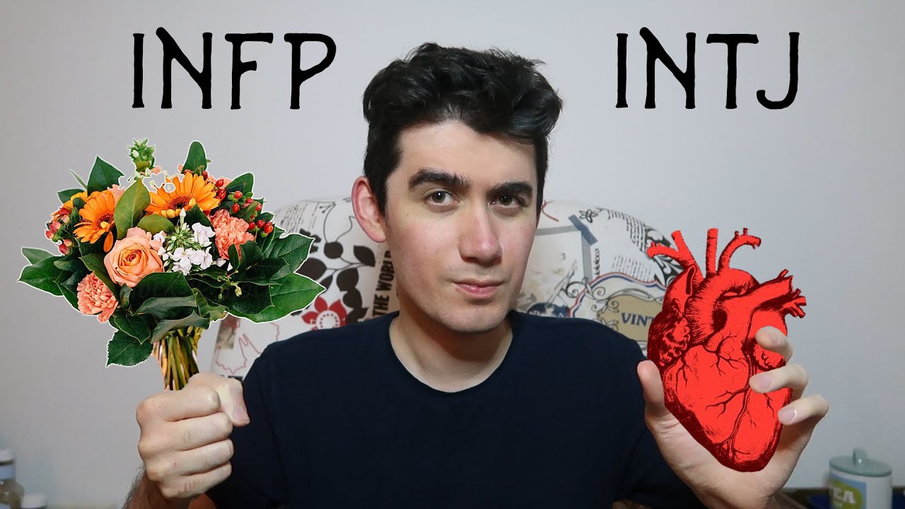 INFP and INTJ - Relationship Advice