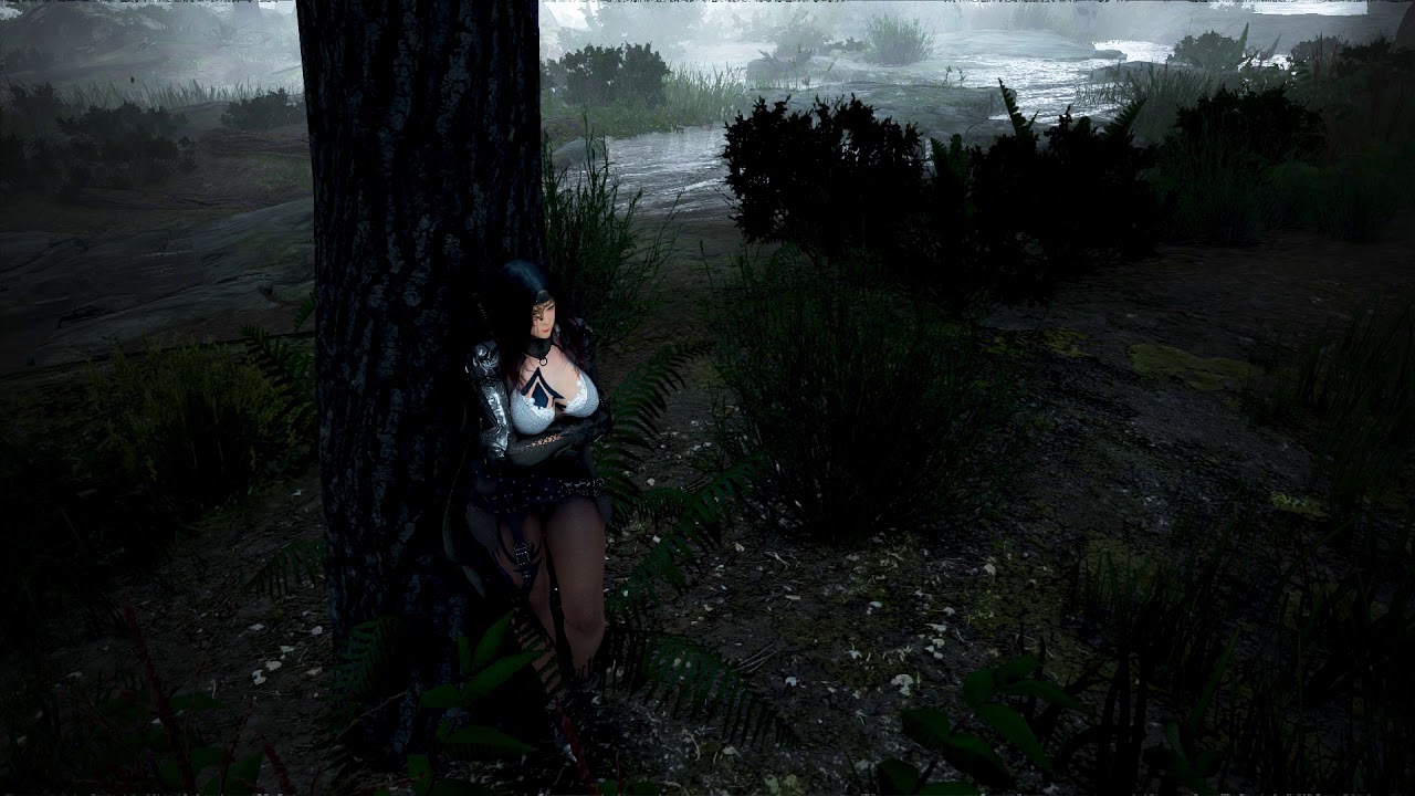 Black Desert Online Serene Spring Music