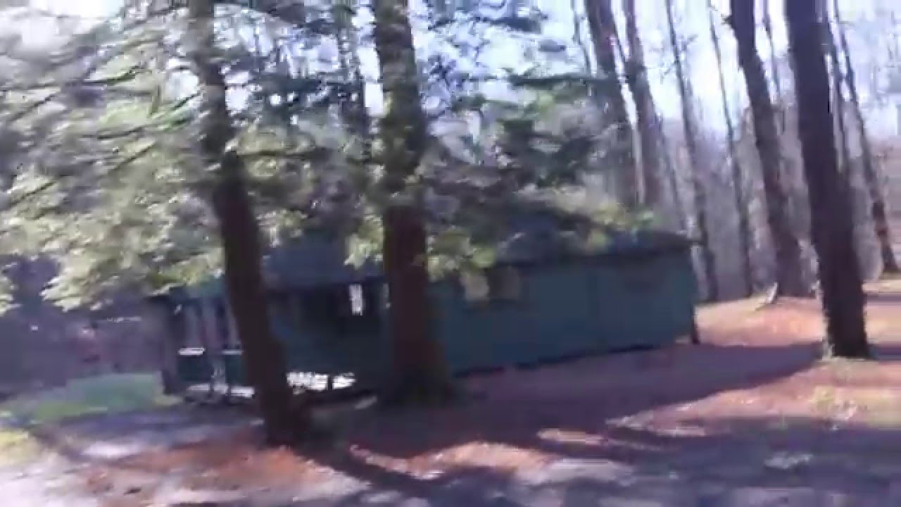 Allegany State Park Creekside Trail Loop by Paul Crawford