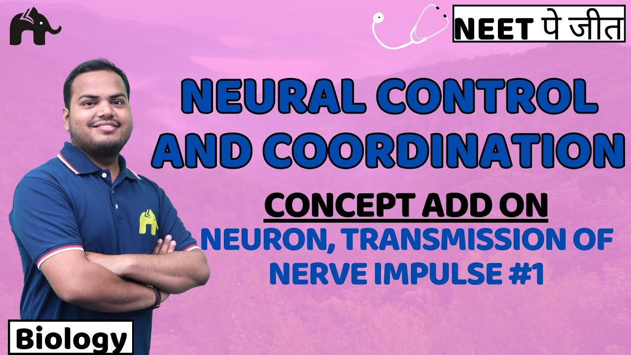 Neural Control and Coordination Class 11 Biology NEET | NCERT Chapter 18 | Neuron, Nerve impulses #1