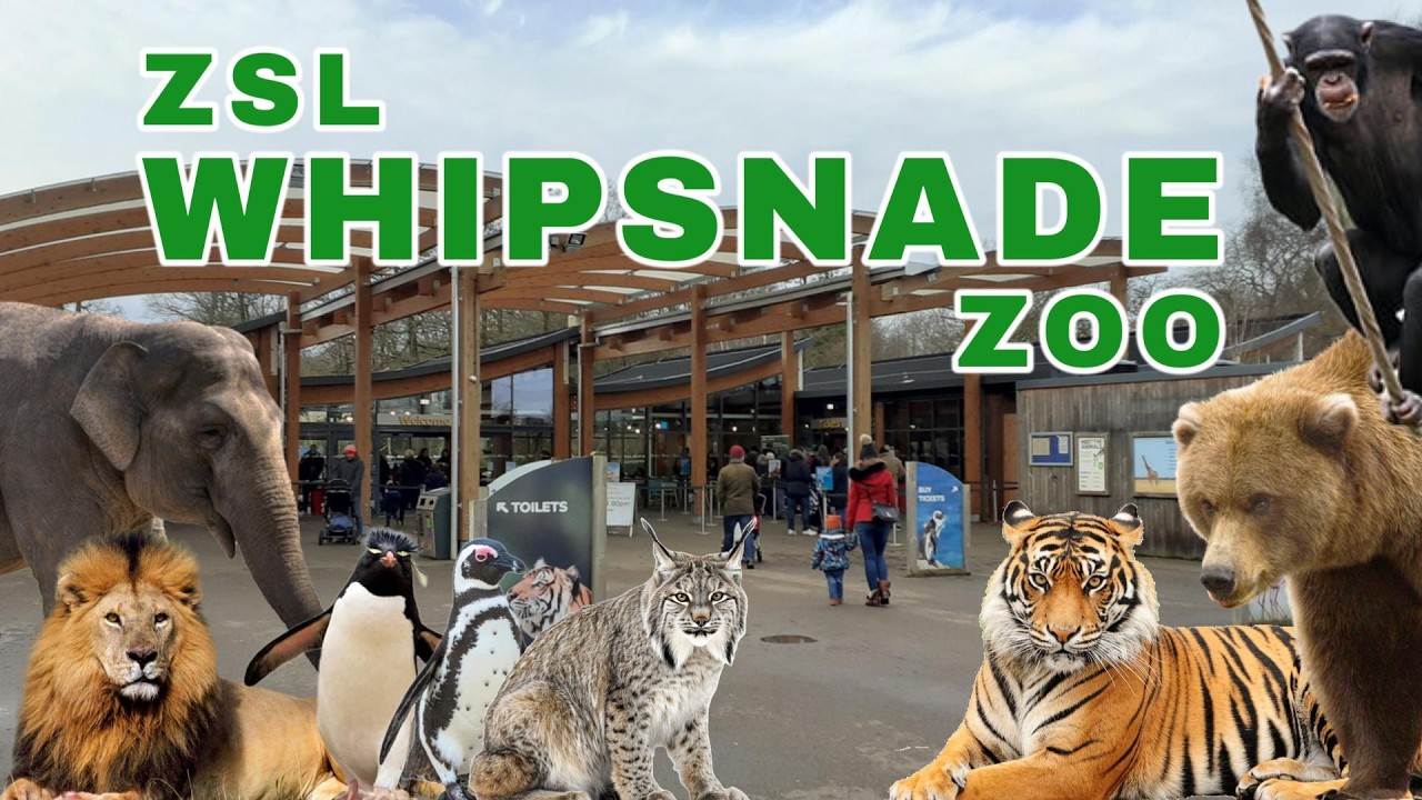 Whipsnade Zoo - The U.K's Largest Zoo! (Zoo Review)