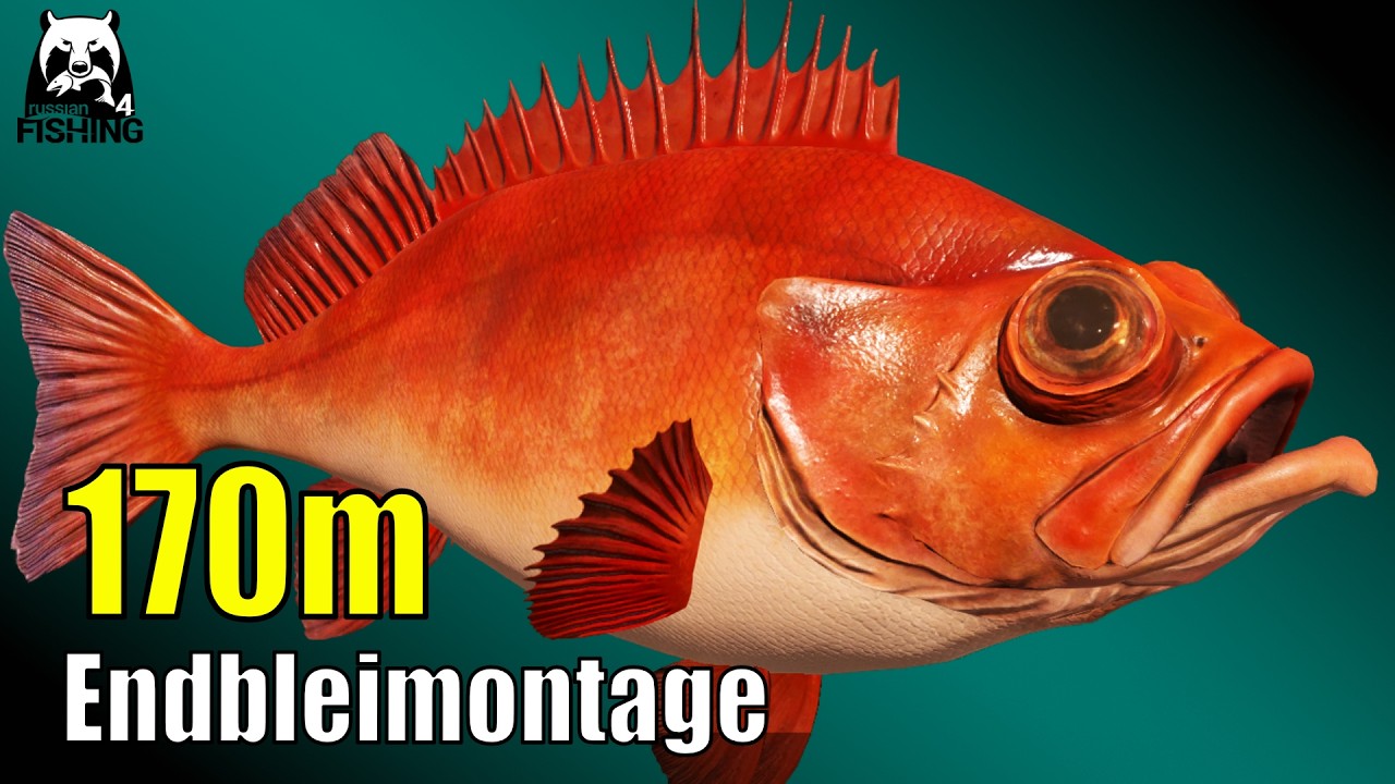 Russian Fishing 4 - Nordmeer - 170m Tiefe auf Endblei Montage - Tiefseeangeln in Russian Fishing 4