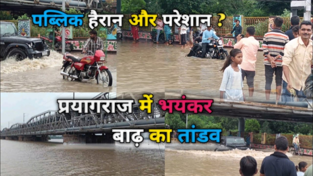 Prayagraj Flood 2025 🌊 | यमुना पुल के नीचे भारी बाढ़ | टूटा 2013 का रिकॉर्ड? | Rashu Allahabadi
