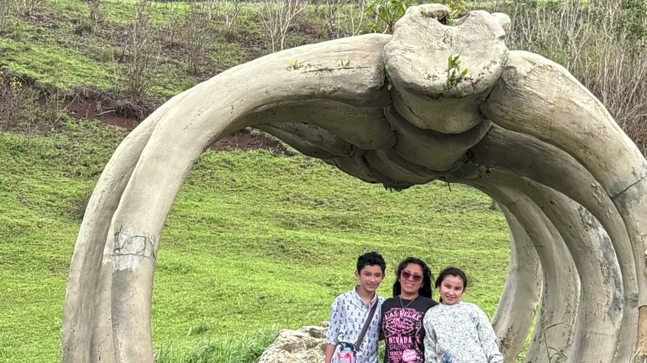 Kualoa Ranch Jurassic valley 
