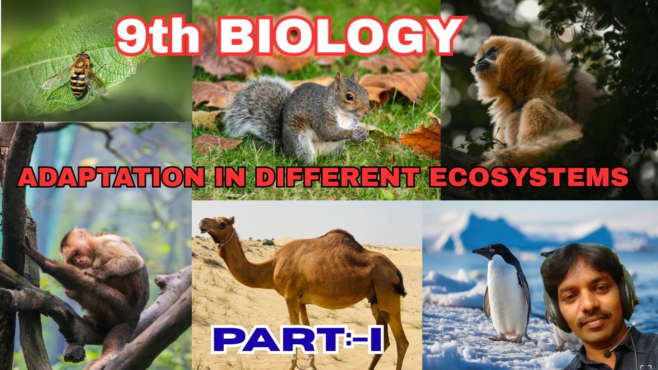 ADAPTATIONS | ADAPTATION IN DIFFERENT ECOSYSTEMS IN 9TH BIOLOGY | FOR TET AND DSC IN | TS AND AP.