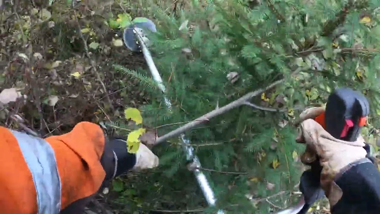 R&ouml;jning i plantering #2