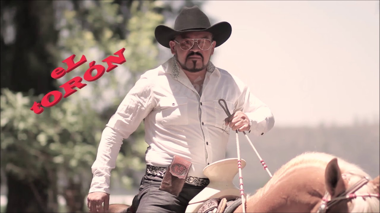 EL TORO / El Toron de Michoacan