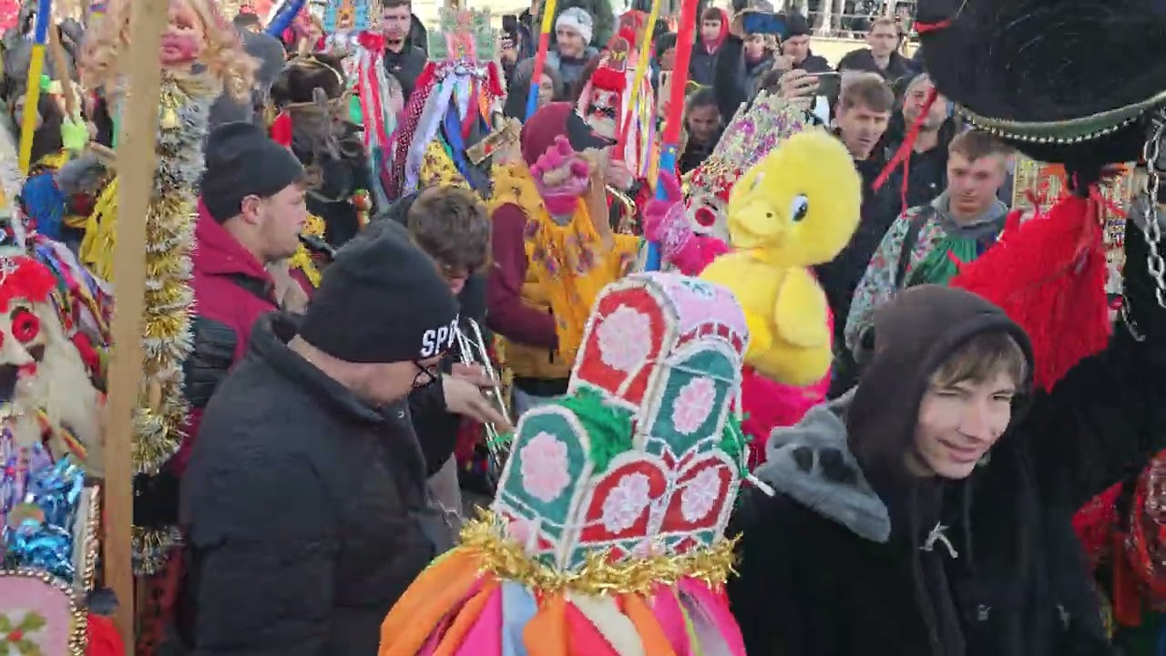 Ursul de la Blăgești Pașcani festival 🥰