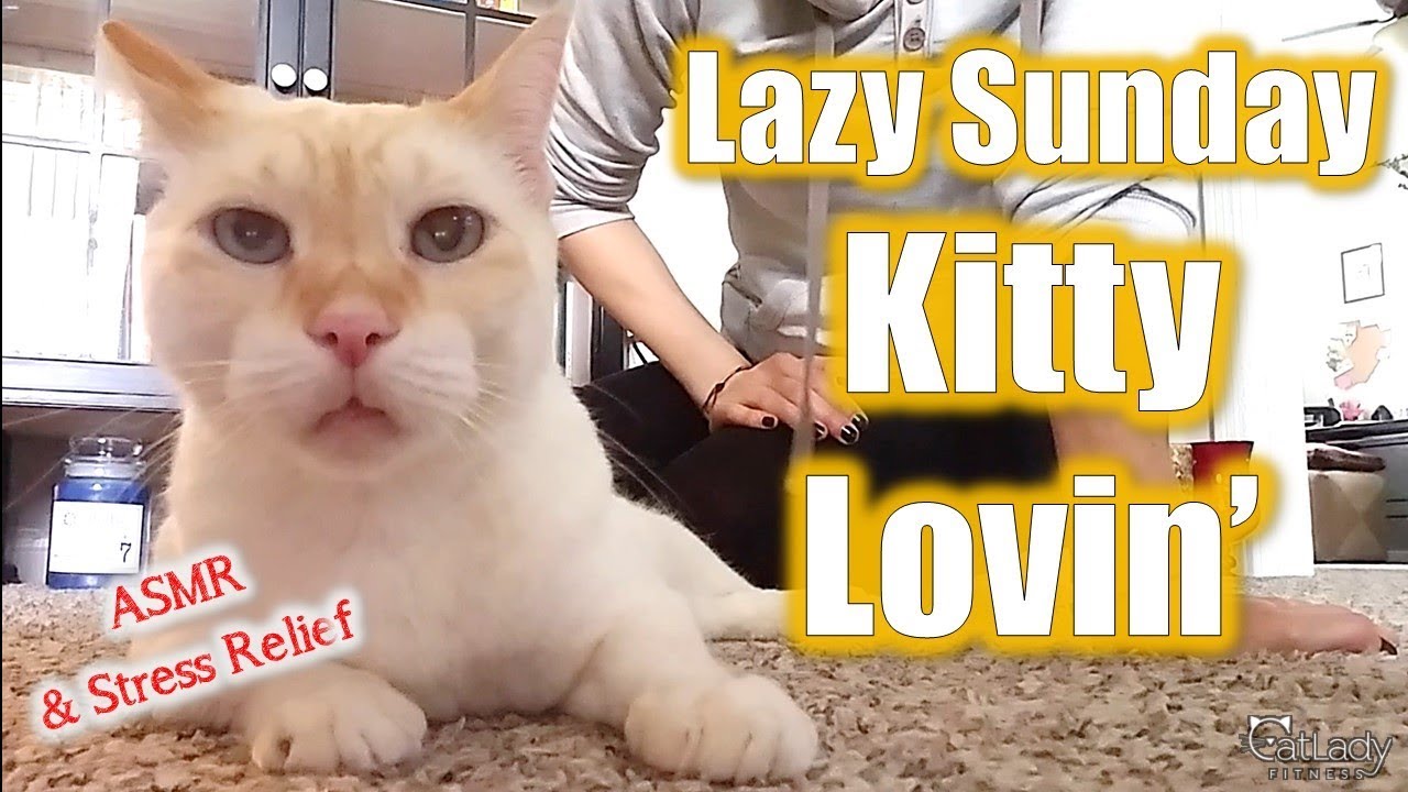 Lazy Sunday lovin' with Puppy (ASMR & stress relief for cat lovers) 😻
