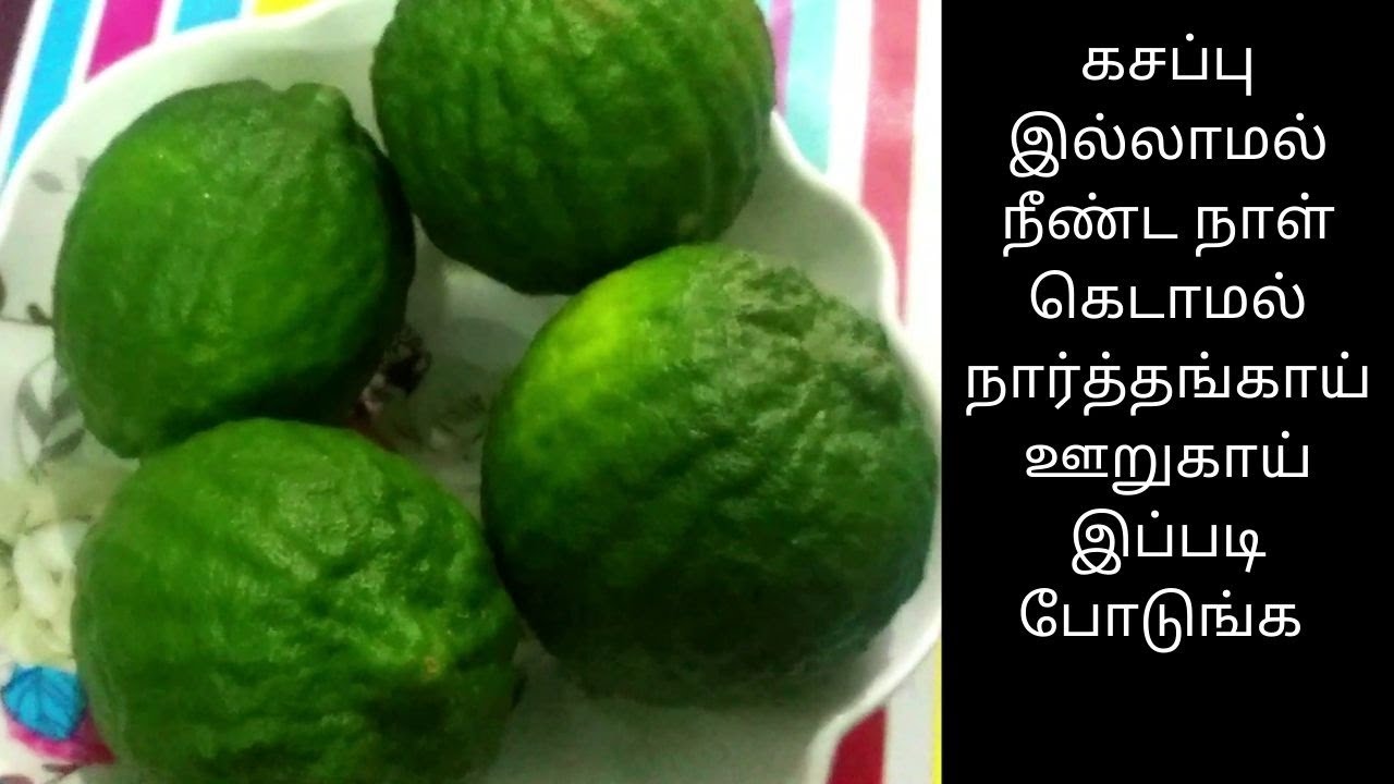 Narthangai Oorugai | நார்த்தங்காய் ஊறுகாய் போடுவது எப்படி  | how to make narthangai pickle at home