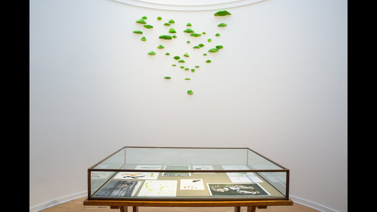 Lois Weinberger | Pine's Eye Profiles
