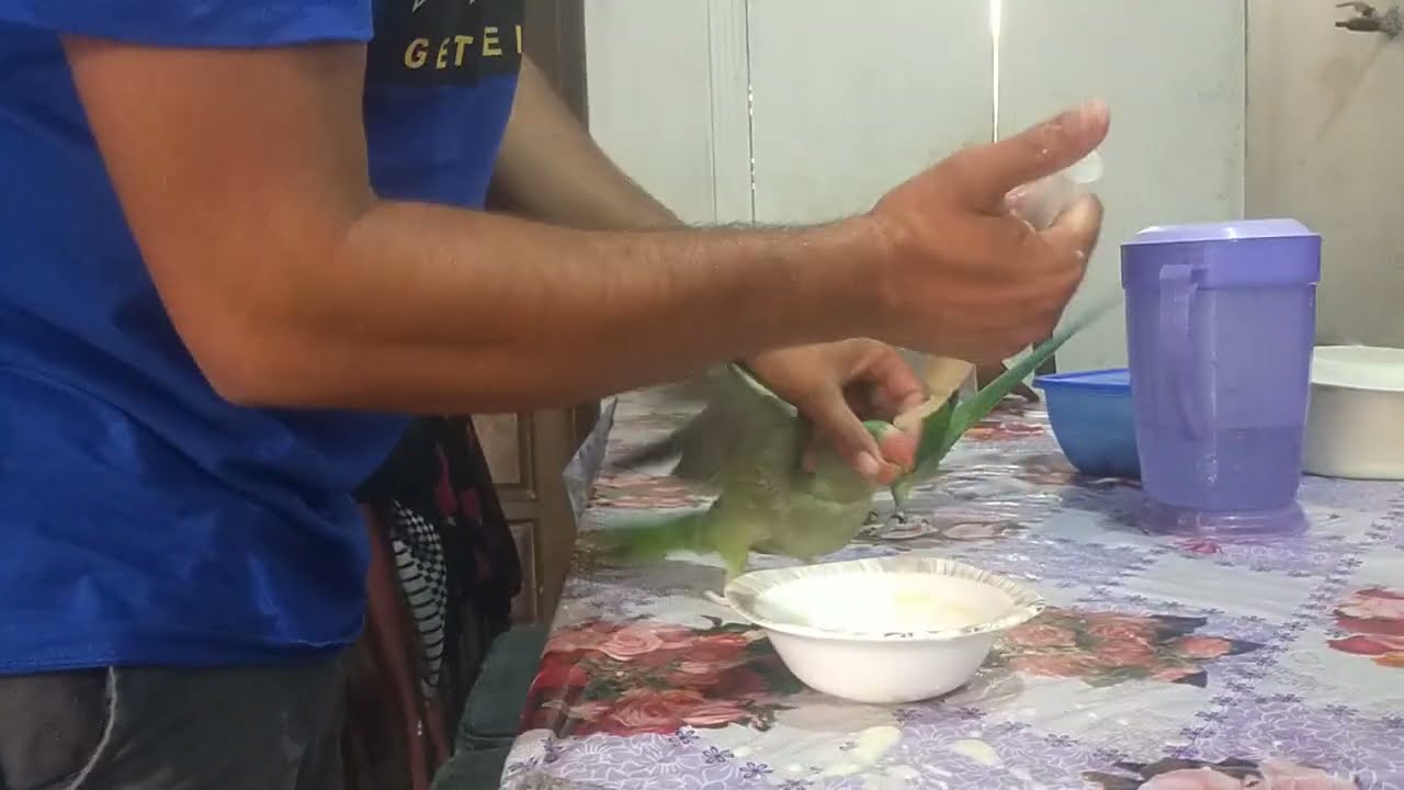 My Raw Talking Parrots Baby 5 Month Age Ricko And Daisy|| Parrot Feed