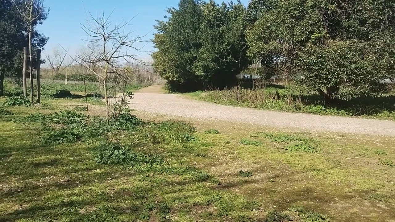 Pluralit&agrave; di opinioni? S&igrave;! E menomale che ci siano! Sarebbe drammatico, altrimenti 