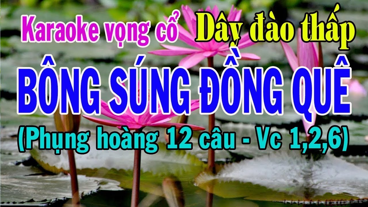 Karaoke vọng cổ BÔNG SÚNG ĐỒNG QUÊ - DÂY ĐÀO THẤP [Phụng hoàng 12 câu - Vc 1,2,6]