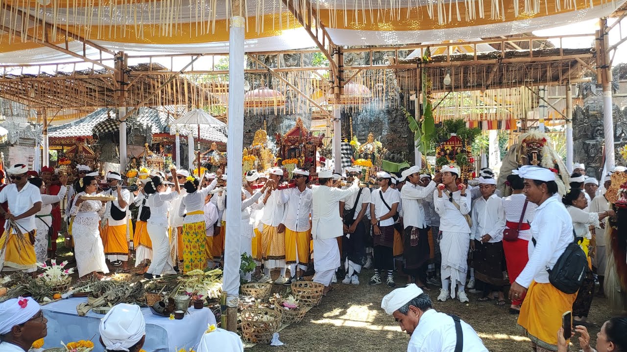 MELASTI ‼️ PURA AGUNG DESA BUNGKULAN ke SEGARA PENYUSUHAN KUBUTAMBAHAN | 01102024