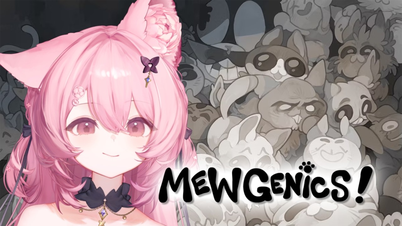 sending my cats to war