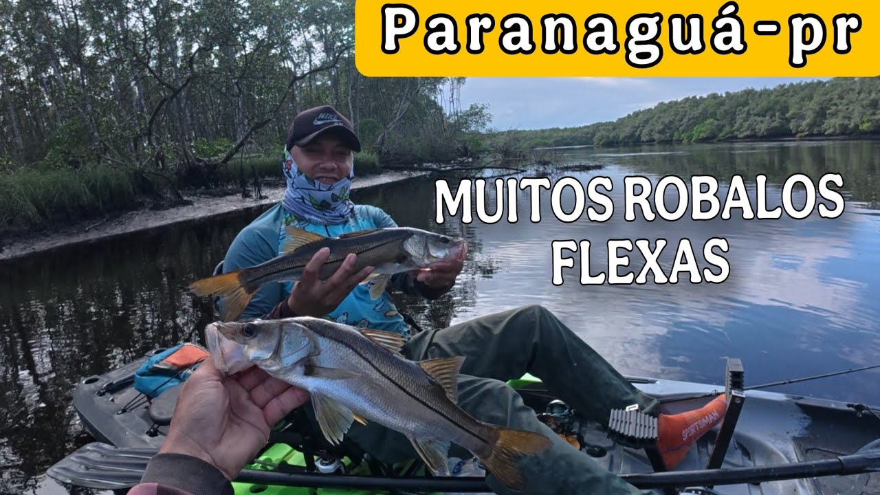 FOMOS NO NINHO DOS ROBALOS FLEXAS - Pescaria De Caiaque no Mangue 